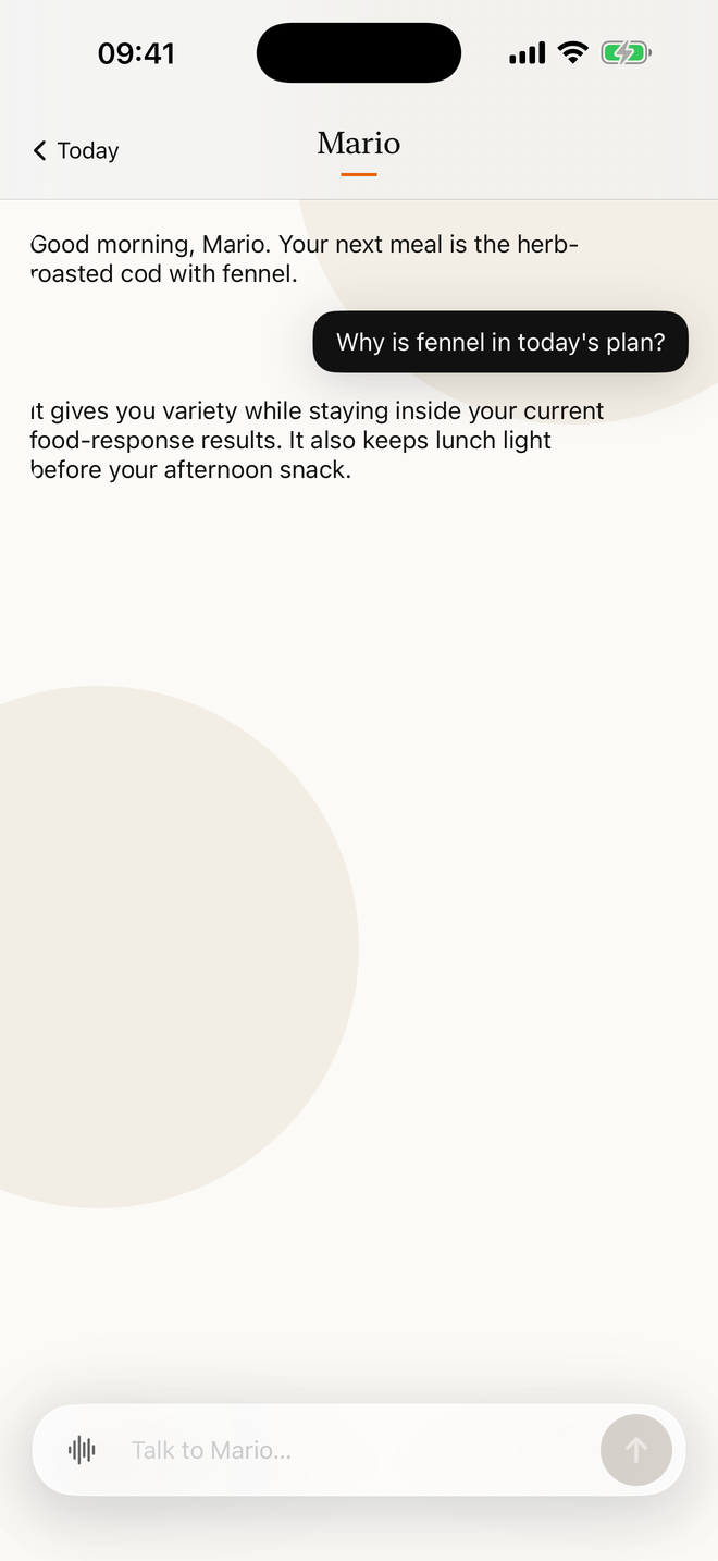 Synthetic Meet Mario demonstration conversation about a meal in the recorded food plan