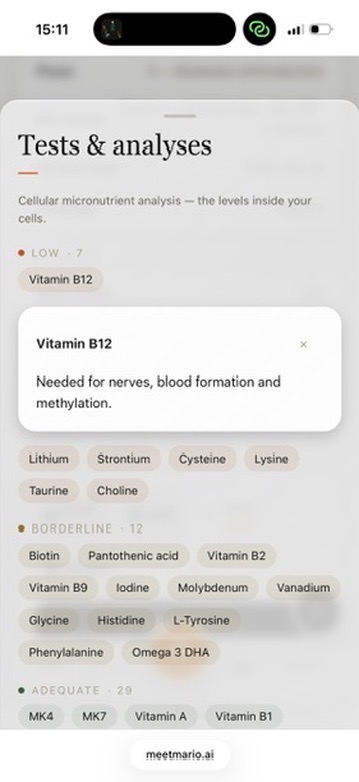 Meet Mario cellular micronutrient results with a plain-language nutrient explanation