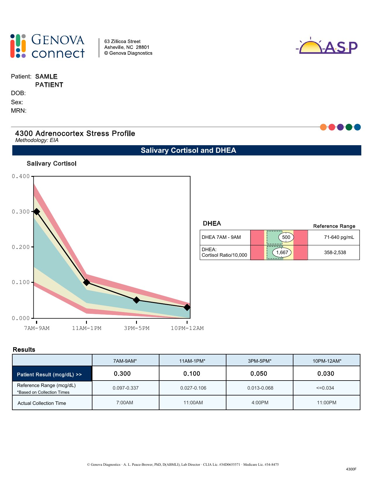 Adrenal Stress Profile exempelrapport — kortisol och DHEA dygnsrytm