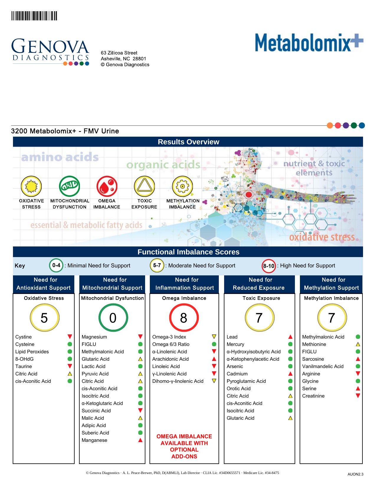 Metabolomix+ exempelrapport