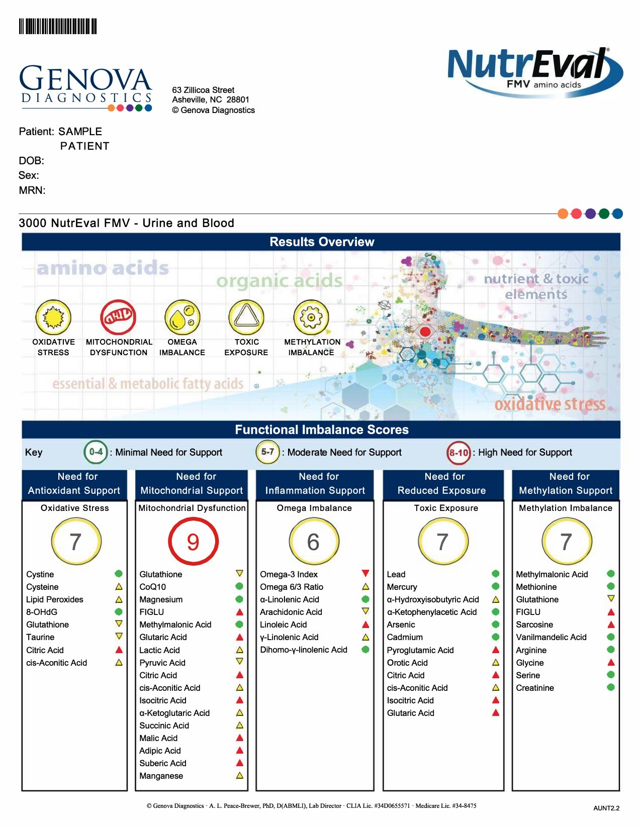 NutrEval exempelrapport