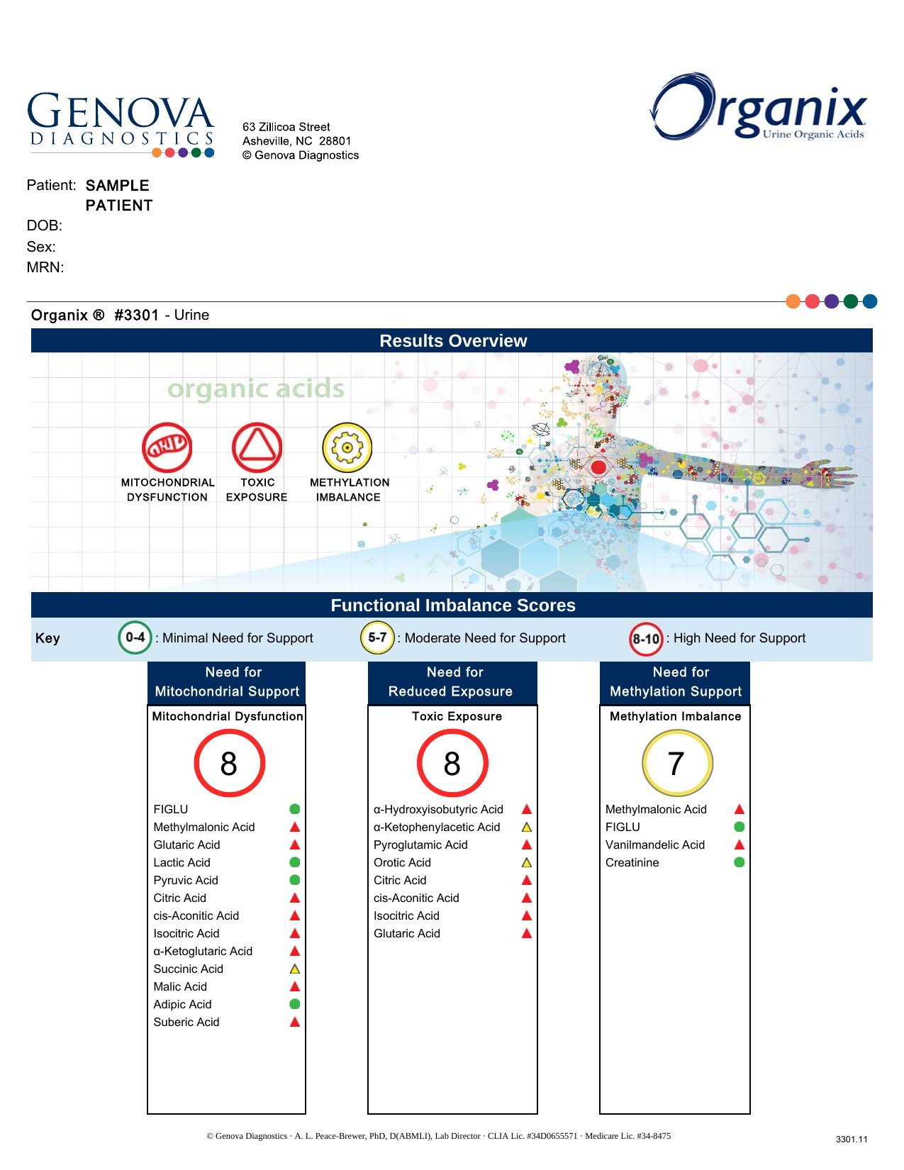 Organix exempelrapport — organiska syror och metabol funktion